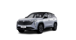 GEELY STARRAY